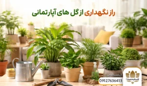 راز نگهداری از گل های آپارتمانی
